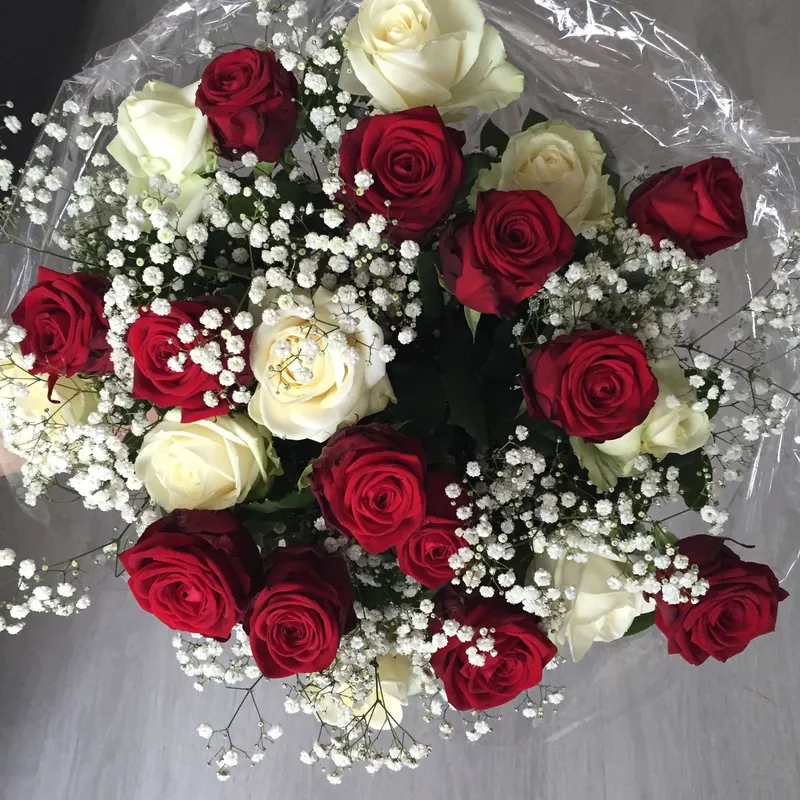 Rood en wit met gipskruid, voor